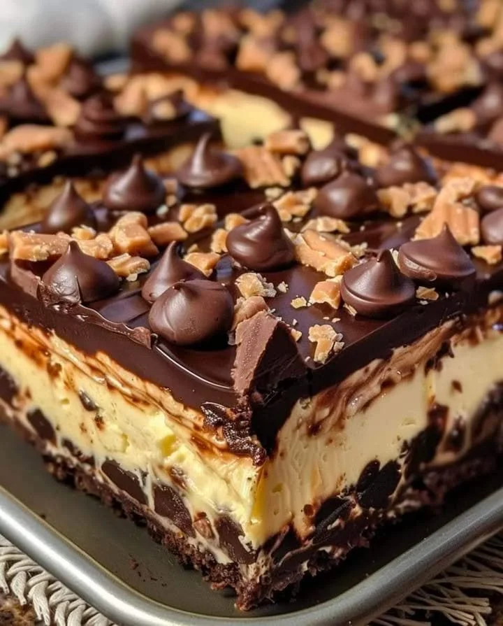 Delicious Chocolate Cherry Cream Cake with whipped cream and cherry topping