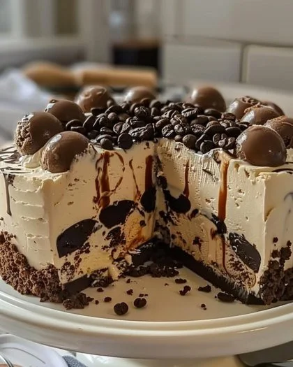 Coffee and Fudge Ice Cream Cake topped with chocolate syrup and coffee beans