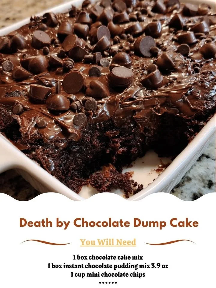 Delicious Death by Chocolate Dump Cake with rich chocolate frosting
