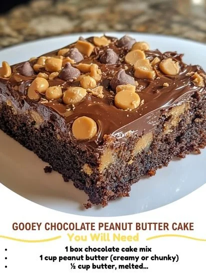 Gooey chocolate peanut butter cake with rich frosting and chocolate drizzle