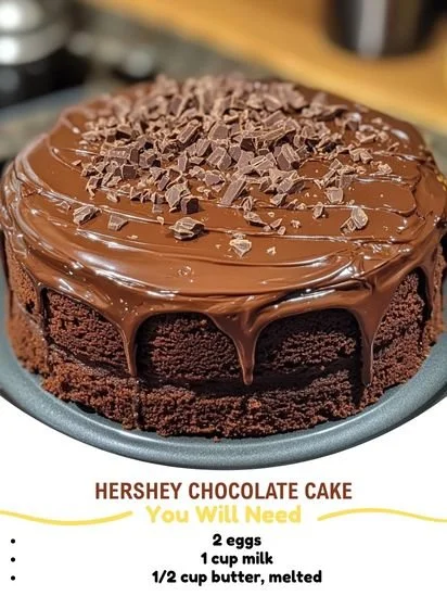 Delicious Hershey Chocolate Cake topped with chocolate frosting and sprinkles
