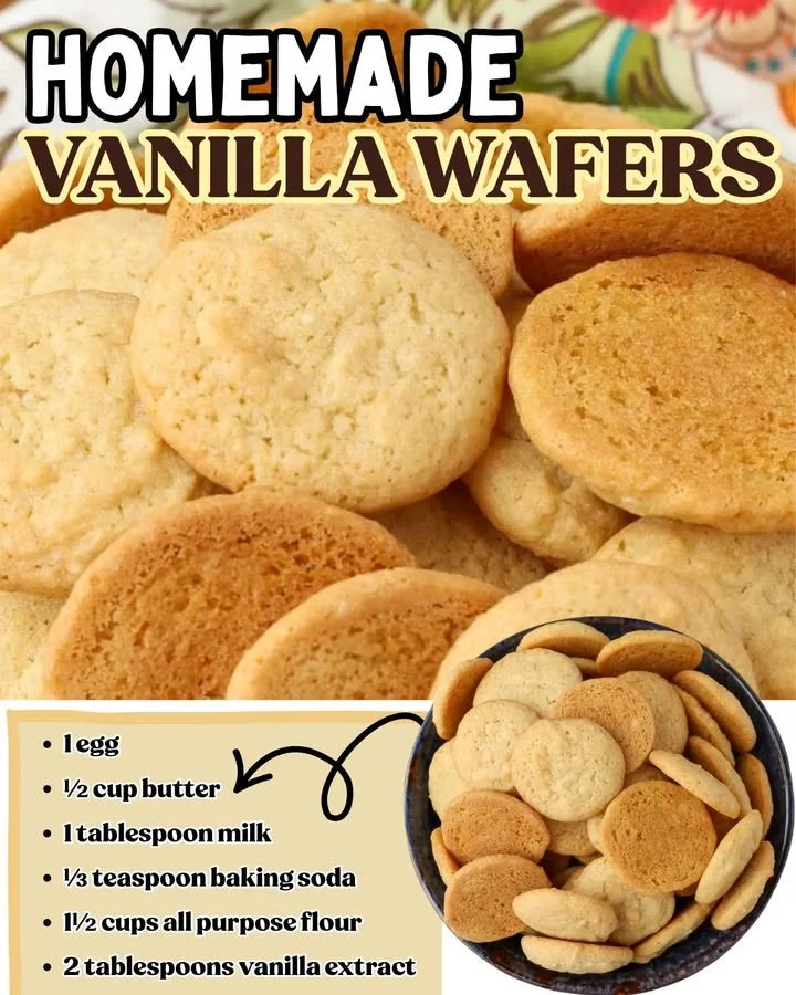 Homemade vanilla wafers freshly baked and ready to enjoy.