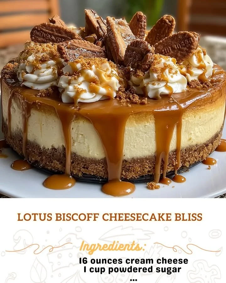 Delicious Lotus Biscoff cheesecake with caramel drizzle and cookie crust