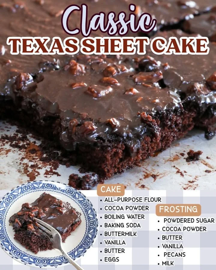 Delicious Texas Sheet Cake topped with chocolate frosting and pecans