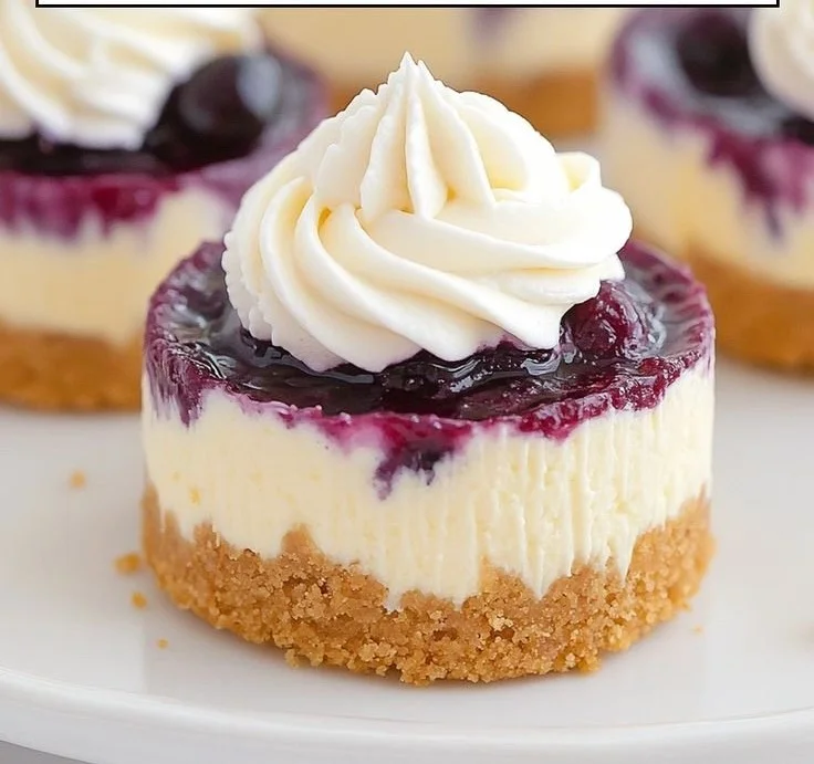 Healthy mini lemon blueberry cheesecakes with fresh blueberries and lemon zest