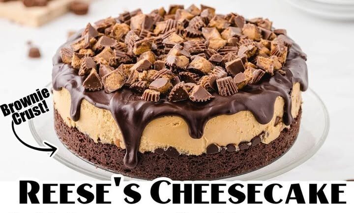 REESE'S PEANUT BUTTER CUP CHEESECAKE
